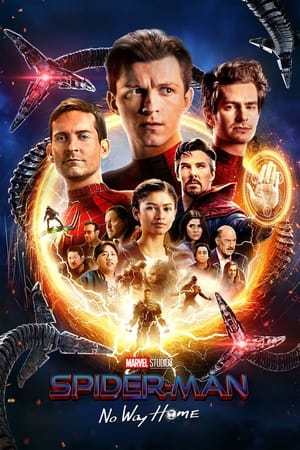 Spider-Man: No Way Home (2021) Hindi (ORG) Dual Audio –