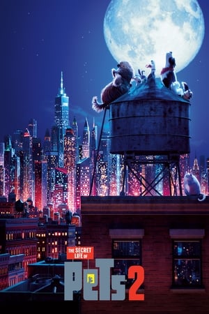 The Secret Life of Pets 2 (2019) Hindi (Original) Dual Audio 300MB